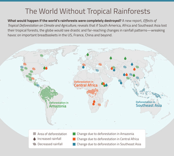 03-Infographic_Effects-of-tropical-deforestation-on-climate-and-agriculture_imagelarge